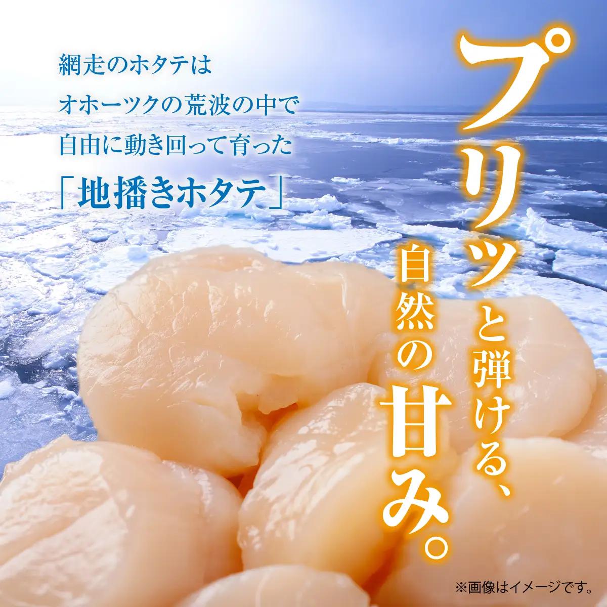 ＼ 数量限定 ／【訳あり】ホタテフレーク 網走前浜産 無添加ホタテ貝柱 1kg（500g×2）ABAI045｜ほたて ホタテ 帆立