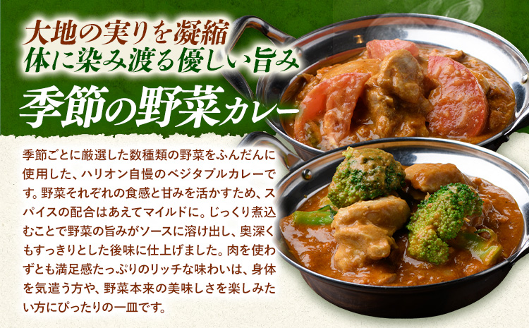 季節の野菜カレー チーズナン 2食セット ジャムナコーポレーション株式会社 《30日以内に出荷予定(土日祝除く)》千葉県 我孫子市 野菜 カレー ベジタブルカレー スパイス チーズ ナン インド 本格