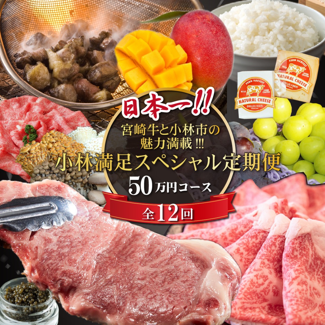 【定期便・全12回】日本一宮崎牛と小林市の魅力満載!!!!小林満足スペシャル定期便 50万円コース（国産 牛肉 国産牛 和牛 黒毛和牛 キャビア シャインマスカット マンゴー 完熟マンゴー フルーツ 果実 くだもの 豚肉 鶏肉 定期便）