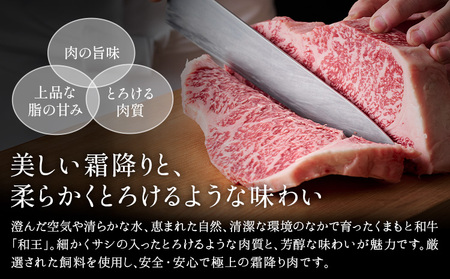 熊本県産A5等級和王 ウデスライス 約400g (約400g×1パック) 帝神志方ミート株式会社《90日以内に出荷予定(土日祝除く)》熊本県 菊池市 牛肉 肉 お肉 和牛 くまもと黒毛和牛 熊本県産 
