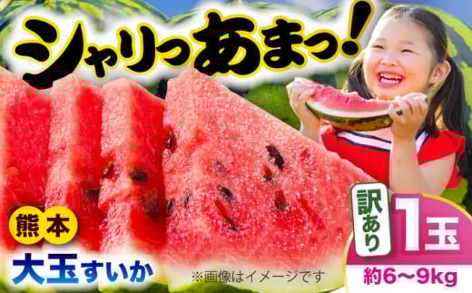 【先行予約】　【訳あり】 大玉すいか 1玉 約6kg〜9kg 【株式会社 Foody's】 [AYAT007]