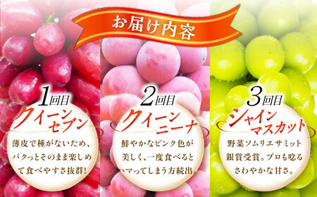 【全3回定期便】【2025年先行予約】【数量限定】【秀品】毎月ぶどうをお届け！イチオシ3品種 各2房 島根県雲南市/ギアファーム[AIAB010]