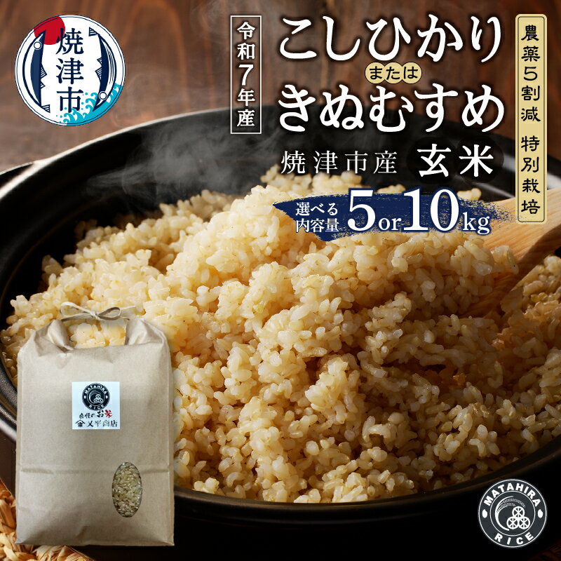【ふるさと納税】 【選べる内容量】 令和7年産 米 玄米 コシヒカリ きぬむすめ 5kg 10kg（5kg×2袋） 農薬5割減 特別栽培 安心 安全 こだわり 減農薬 ごはん 焼津 a14-120 a28-029