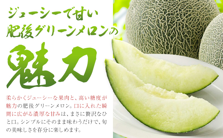 肥後グリーンメロン 約2-2.4kg×2玉【養生市場】 有限会社七城町特産品センター《5月中旬-6月中旬頃出荷》熊本県 菊池市 メロン グリーンメロン 果物 フルーツ 熊本県産 送料無料---003-