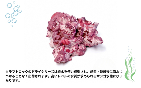 フラグプラグロック | 水槽 新潟県 出雲崎町