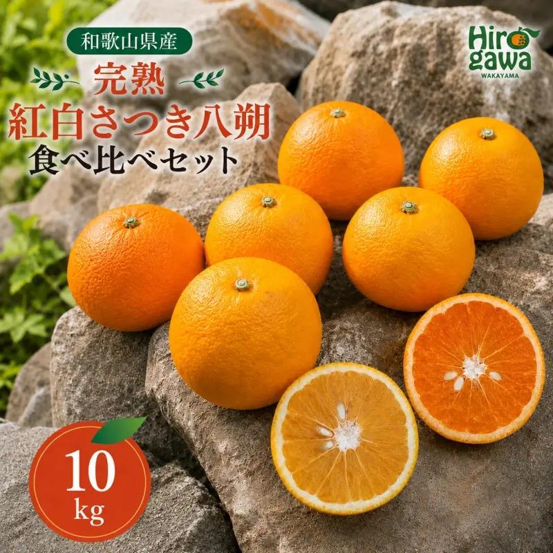 完熟 紅白 さつき 八朔 食べ比べ セット 10kg 17000円 久幸園  /  紅八朔 さつき八朔 はっさく 樹上完熟 完熟 木成り 柑橘 果物 くだもの フルーツ みかん 和歌山 有田 広川町 ※4月上旬〜5月上旬頃に順次発送予定  //hassaku 【hsk022-mix-10】