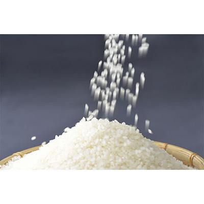 ふるさと納税 七尾市 【令和7年産】能登米コシヒカリ10kg (5kg×2袋) |  | 02