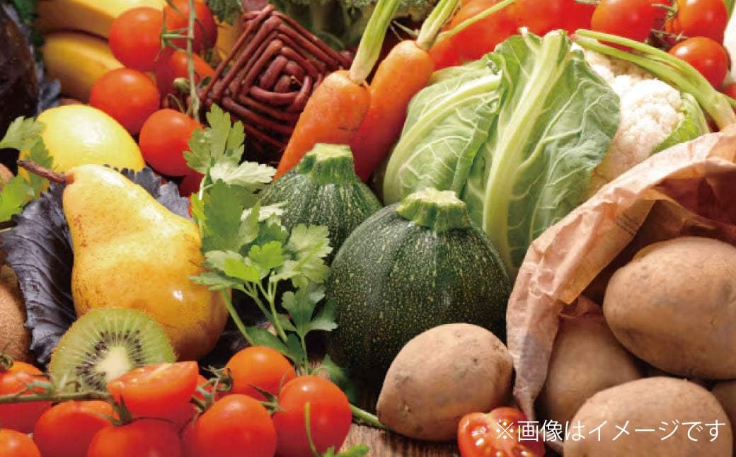 【令和7年度産】 熊本県（七城）産のお米と熊本県産の野菜ときのこ お米（5kg）・野菜＆きのこ（11～12品）