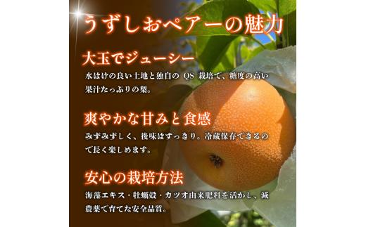 【2027年先行予約】梨 なし ご家庭用 5kg以上 10〜16玉  2027年 8月順次発送 うずしおペアー 果物 フルーツ デザート 旬 新鮮 季節 秋 人気 おすすめ ギフト プレゼント 贈答 