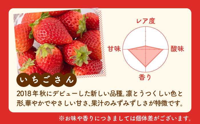 【先行予約 2027年1月～発送】【3回定期便】赤いちご食べ比べ！かおり野＆いちごさん【StrawberryFarm-K】イチゴ [IBJ007]