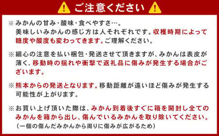 ＜2025年10月発送予定＞【不揃い】選べる 河内 塩屋みかん 3kg 極早生みかん 熊本 国産 みかん 蜜柑 ミカン 果物 くだもの フルーツ 