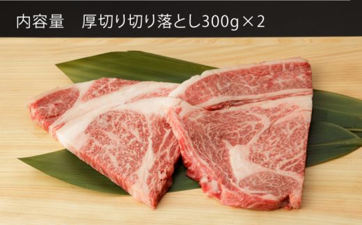 【3回定期便】 佐賀和牛 ロース 厚切り 切落し 600g (300g×2P) 【一ノ瀬畜産】 [NAC125] 牛肉 佐賀県産 黒毛和牛 焼肉 BBQ バーベキュー 定期便