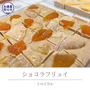 【ふるさと納税】 【お歳暮熨斗付】ショコラフリュイ　トロピカル チョコレート チョコ スイーツ デザート 高級 ギフト 贈り物 お礼 プレゼント 手土産 お菓子