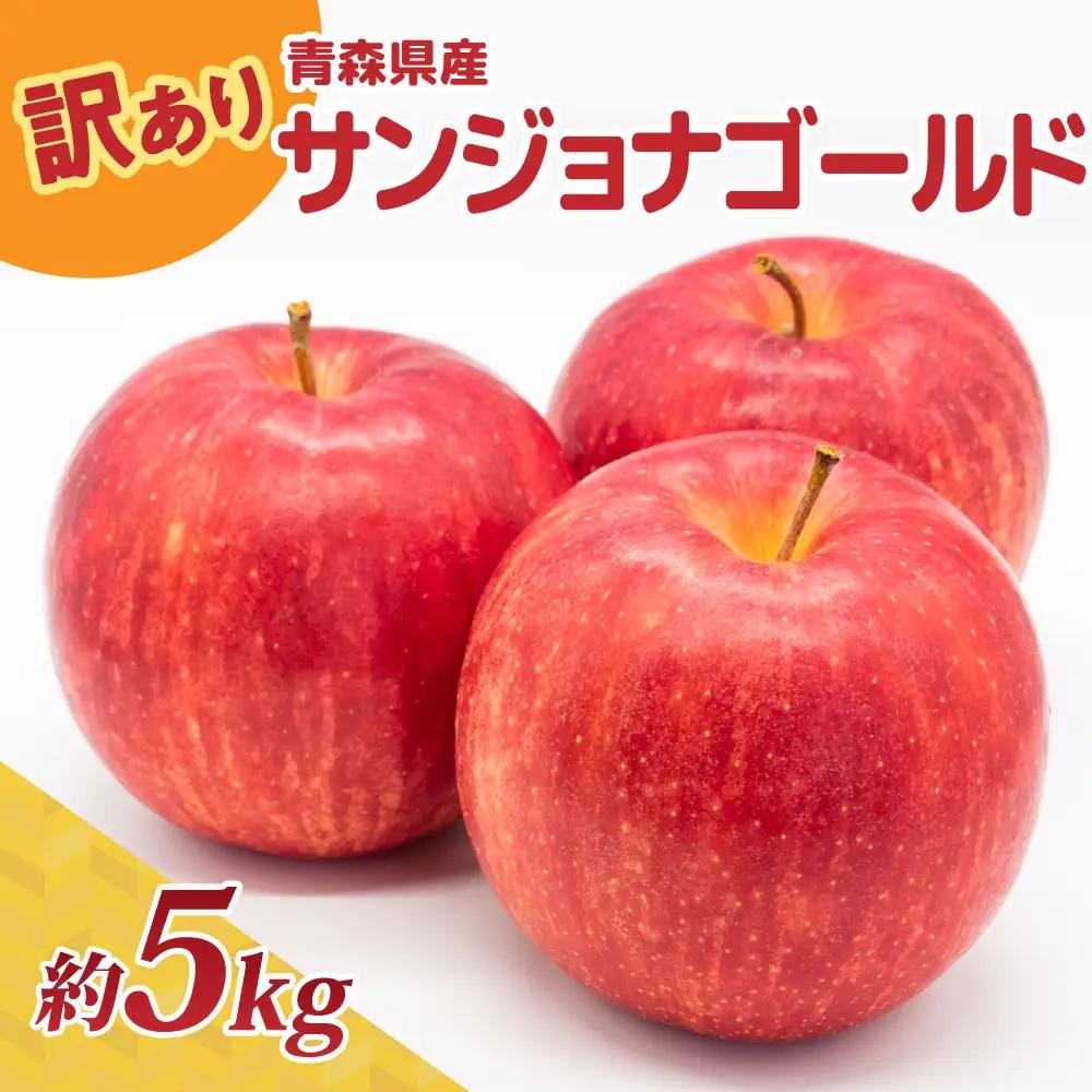 【10月後半以降順次発送】 りんご 約5kg 訳あり サンジョナゴールド 青森県産 りんご
