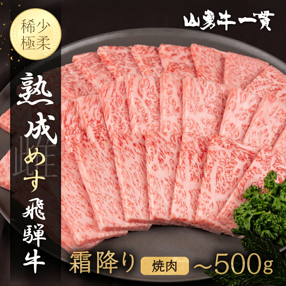 【ふるさと納税】熟成飛騨牛 『山勇牛』 霜降り 焼肉用 300g / 500g 飛騨の牧場で育った『山勇牛』 冷凍 牛肉 和牛 肉 熨斗掛け［Q3223］20000円 30000円