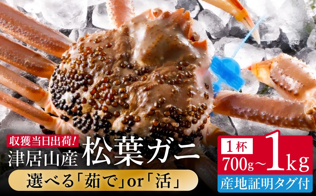 
                  期間・数量限定 タグ付き 津居山産 松葉ガニ 1杯 / 活・茹で 700g～800g・900g～1kg / 新鮮 松葉がに 松葉蟹 ズワイガニ ずわいがに かに カニ 蟹 ボイル 冷蔵 海鮮 お取り寄せ グルメ 兵庫県 豊岡市 津居山漁港 但馬漁業協同組合
                
