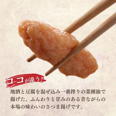 ふるさと納税 枕崎市 無添加 甘さ控えめ 本場薩摩のこだわりさつま揚げ詰合せ　お試し X0-31 |  | 01
