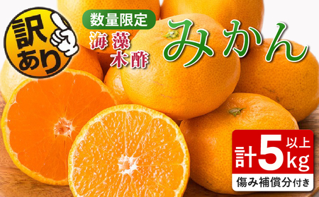 訳あり 数量限定 海藻木酢みかん 計5kg以上 傷み補償分付き フルーツ 果物 くだもの 柑橘 みかん　国産 期間限定 食品 家庭用 自宅用 B品 わけあり オレンジ デザート おやつ おすすめ おすそ分け ご褒美 お取り寄せ グルメ 産地直送 宮崎県 日南市 送料無料_ZZ22-24