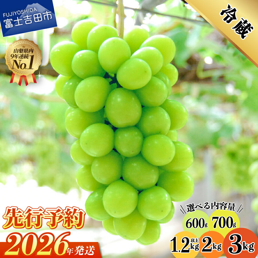 山梨県 シャインマスカット お楽しみセット 2房1kg