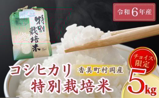 
            【令和6年産米】【香美町 村岡産 コシヒカリ 特別栽培米 精米5kg】 米 ふるさと納税 おすすめ 返礼品 ランキング 入金確認後順次発送予定 但馬牛の堆肥による土づくり 自然循環型の有機栽培 安全・安心なお米を生産 炊きあがったお米の粒立ちが格別 ふっくらもちもち食感 香りと甘みも非常に豊か 冷めても美味しい米 送料無料 兵庫県 香美町 コシヒカリ 19000円 71-03
          