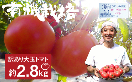 《事前予約》《期間・数量限定》ひだかみ流葉　コクと旨味の有機大玉トマト 有機JAS認定 合計約2.8kg[Q634x] syun10