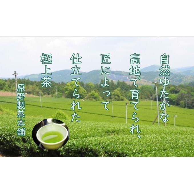 煎茶 八女茶 5袋セット 100g×5袋 お茶 飲み物 飲料 お茶出し 日本茶 茶葉 お茶っ葉 爽やかな香り 甘み ほどよい渋味 バランス 飽きのこない味わい 鮮やかな色 普段用 お客様用 _イメージ