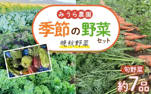 
            【先行予約】みうら農園 季節の野菜セット（晩秋野菜）【10月上旬以降より順次発送】
          