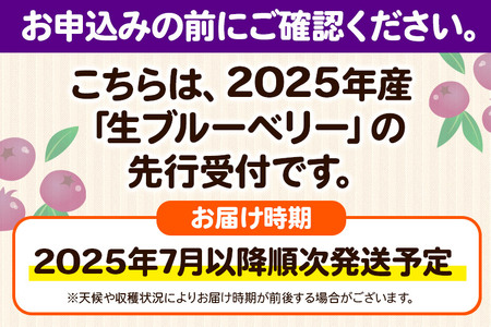 【2025年収穫先行受付】生ブルーベリー(大粒)「くろうの実」＆(中粒)「北風こぞう」セット 各100g×6パック 計12パック