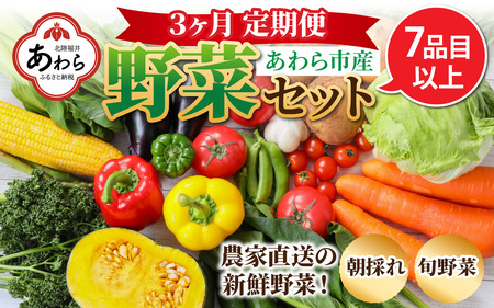 【3ヶ月連続お届け】農家直送 旬の野菜セット 7品目以上 1箱 ／ 定期便 3回 季節 野菜 ボックス BOX セット セレクト 農家 おまかせ 多品目 旬 詰め合わせ 根菜 葉物