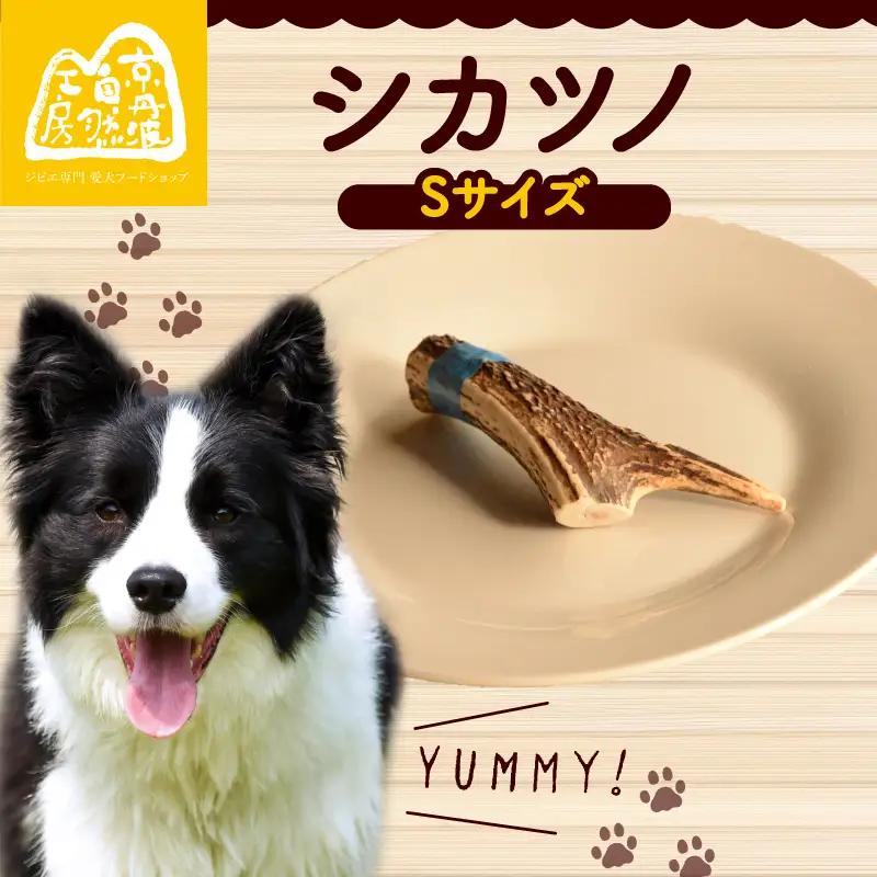 シカツノ Sサイズ 鹿の角 (犬 歯磨き ペット用品 おもちゃ