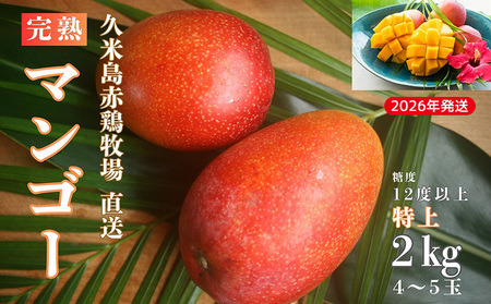 マンゴー【2026年発送】久米島赤鶏牧場 直送！糖度12度以上「特上」完熟マンゴー 約2kg（4～5玉） フルーツ