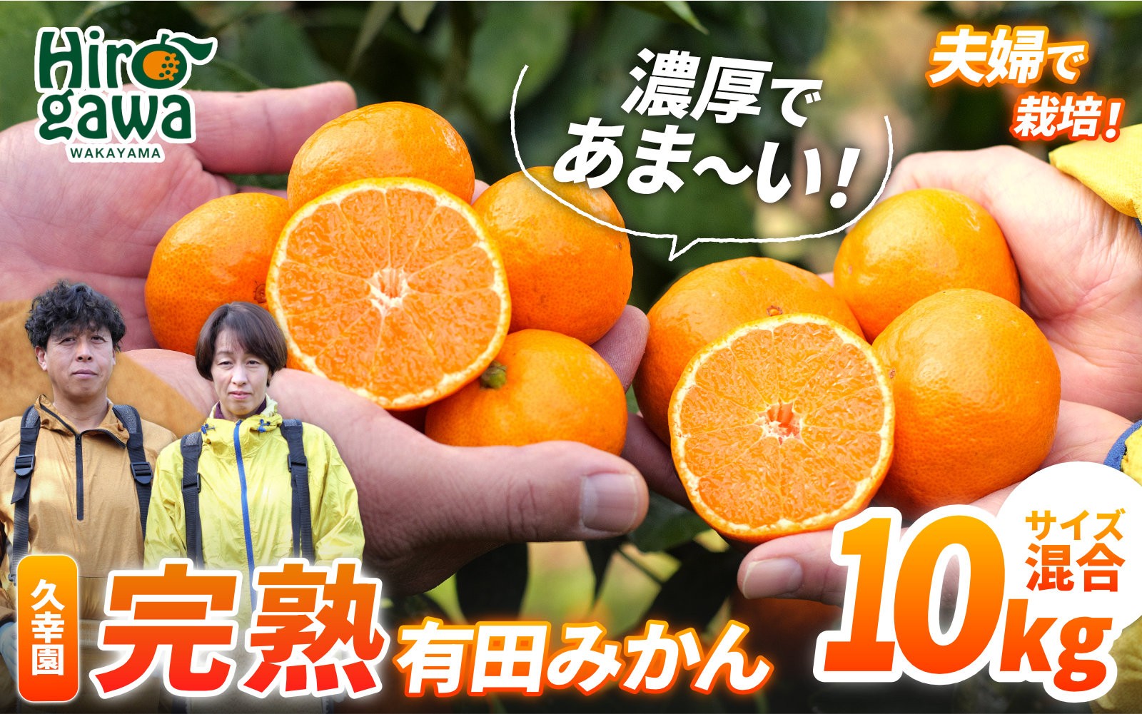 
                  完熟 有田 みかん 訳あり 10kg 久幸園 / 温州みかん 有田みかん 甘い 家庭用 和歌山 柑橘 ※2026年11月～2027年1月下旬に順次発送【hsk004-c-10C】
                