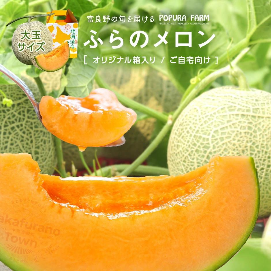 【2026年発送】【ポプラファーム】富良野メロン（2kg以上　秀品　大玉1玉）