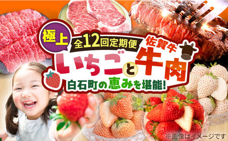 【先行予約】【12回定期便】産地直送！白石町産 いちごと牛肉の極上定期便 [IZZ015]