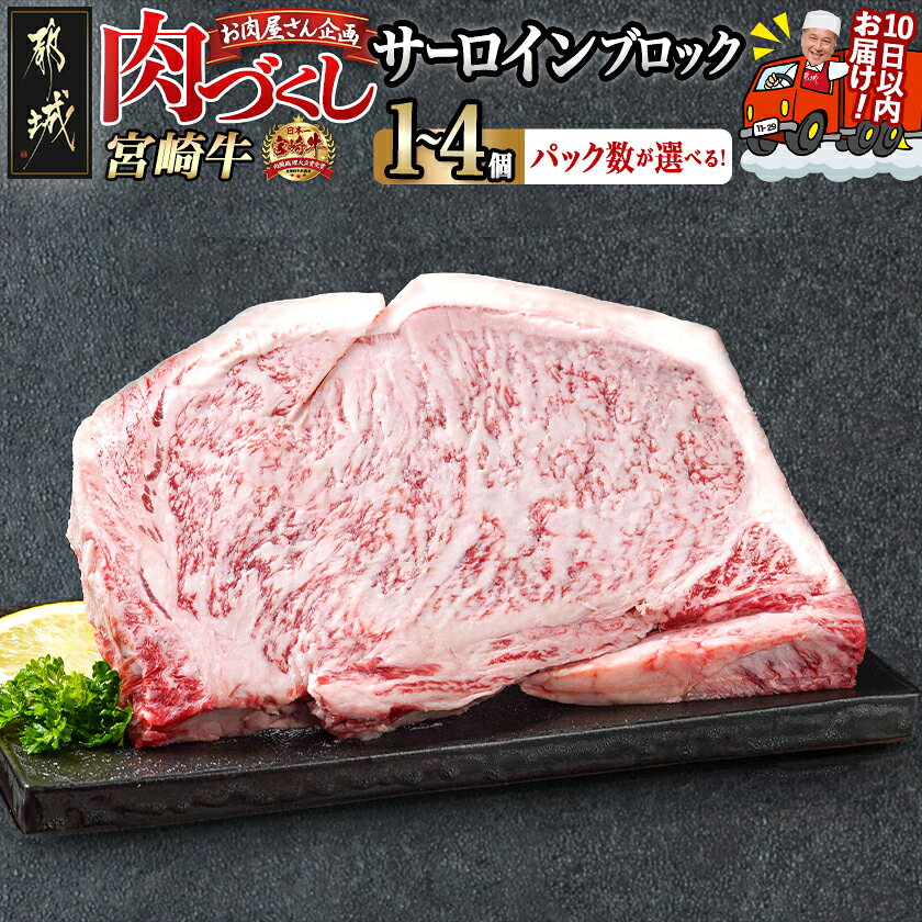 【ふるさと納税】【パック数が選べる！】【肉づくし都城】宮崎牛サーロインブロック【500g】 - 楽天限定 都城産 宮崎牛 選べる個数 500g×1個/2個/3個/4個 早い すぐ届く 牛肉 サーロインステーキ A5 送料無料 SKU-0109 【宮崎県都城市は2年連続ふるさと納税日本一！】