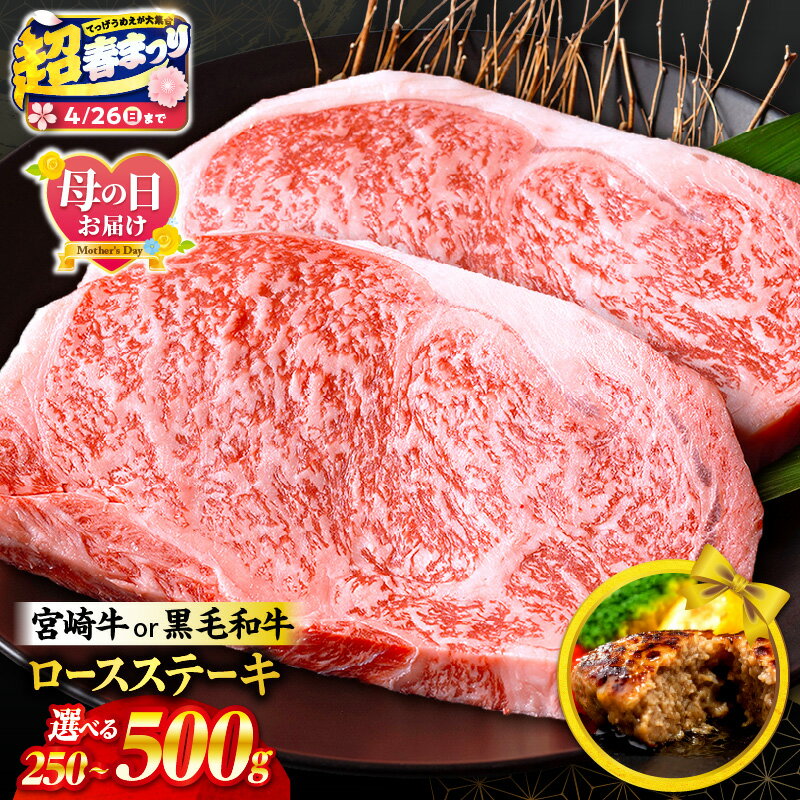 【ふるさと納税】【超！春まつり 生活応援・大感謝規格】【内容量・発送時期が選べる】【数量限定】畜産農家応援！宮崎牛or黒毛和牛ロースステーキ・国産牛ハンバーグ 牛肉 肉 お肉 牛 宮崎牛 黒毛和牛 ロースステーキ 焼肉 ロース ステーキ おすすめ 人気 ミヤチク ふるさと