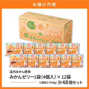 みかんゼリー 1袋4個入×12袋 和歌山産業提供 山形県 東根市 hi070-005 みかん ミカン フルーツ 果物 クダモノ くだもの ゼリー おやつ ご褒美 お弁当のお供 ご当地 グルメ お取り寄