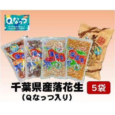 ふるさと納税 大網白里市 【大網白里市産】落花生5袋セット(Qナッツ入り)計500g