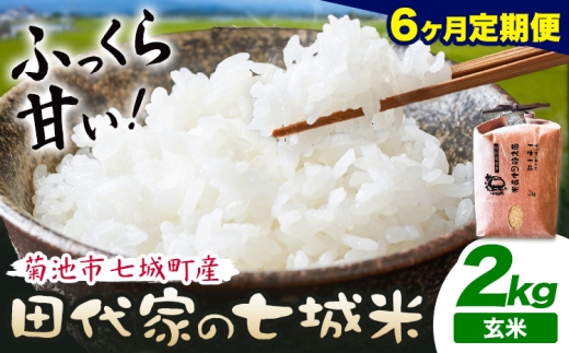 【6ヶ月定期便 】令和7年産 菊池市七城町産 田代家の七城米 七城ヒノヒカリ 玄米 2kg 田代こめや《お申込み翌月から出荷》熊本県 菊池市 米 お米 精米 ひのひかり 菊池市産 熊本県産 九州産 送料無料