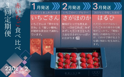 【先行受付！2027年1月から発送開始】赤いちご食べ比べ定期便　全3回（1月〜3月）：B280-010