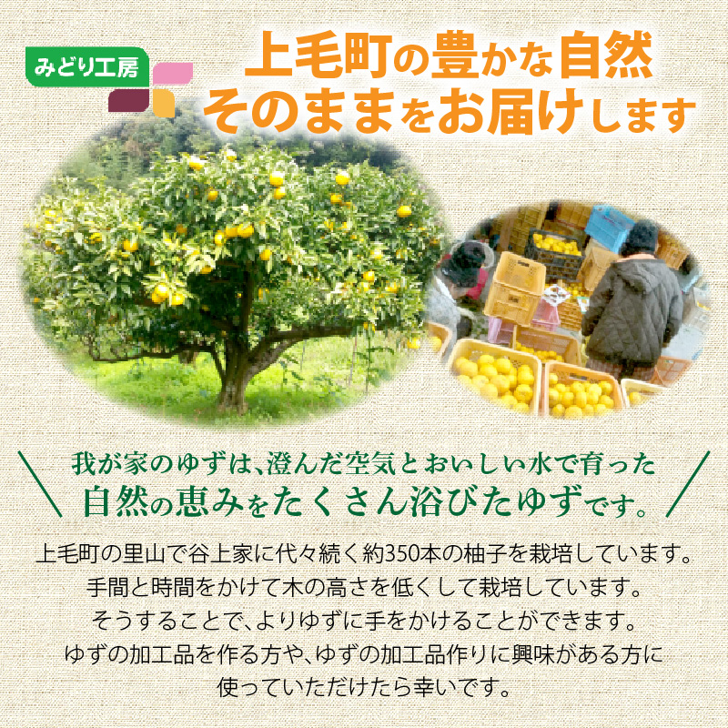 訳あり 青ゆず 生果実 たっぷり5㎏ 5kg 40個程度 特産品 ゆず 果汁 さわやか 風味 小ぶり 皮 柚子ごしょう 加工品づくり 青ゆずスカッシュ 輪切り 風味付け 柑橘 果実 フルーツ 豊か 自
