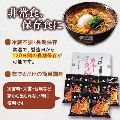 ふるさと納税 豊前市 【毎月定期便】カレーうどん 8食入り×全12回 |  | 03
