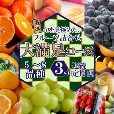 ふるさと納税 高松市 【毎月定期便】旬を見極めた、厳選フルーツ詰合せ定期便【大満足コース】(5〜8品種)全3回