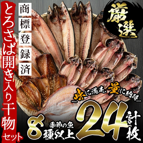 No.203-A 旬の厳選！干物詰合せ(計24枚) 干物 旬 アジ サバ トビウオ かます みりん干し タイ 詰め合わせ セット 魚介類【みのだ食品】
