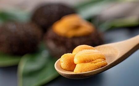 天然 エゾバフンうに （中）塩水うに 200g（100g×2枚）2025年1月中旬から発送ミョウバン不使用 北海道産 知床羅臼産