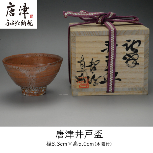 唐津焼 唐津 井戸盃＃irodoriからつ四季の返礼品