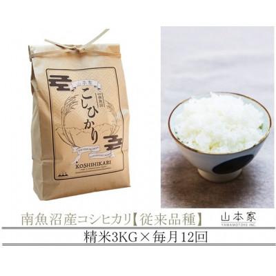 ふるさと納税 南魚沼市 【毎月定期便】山本家 南魚沼産コシヒカリ 精米 3kg【従来品種】全12回