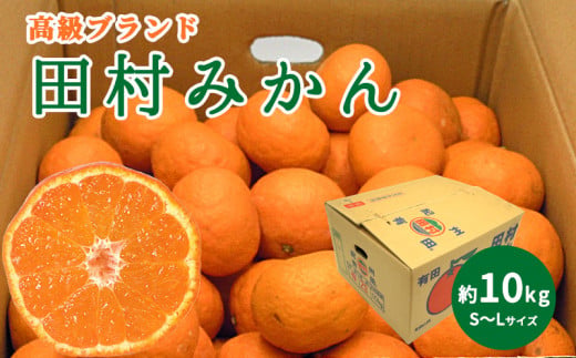 DN6015_【2025年先行予約】高級ブランド 田村みかん 秀品 10kg (S～Lサイズおまかせ）