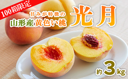 【100箱限定】甘みが特徴の山形産黄色い桃 光月 秀品 約3kg 【令和8年産先行予約】FS25-648 くだもの 果物 フルーツ 山形 山形県 山形市 2026年産