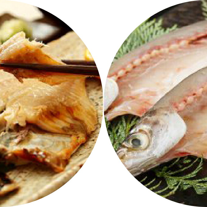 【ふるさと納税】干物 瀬戸内 瀬戸内海 香川県産 詰め合わせ 約1kg 一夜干し みりん干し アジ ウルメイワシ カマス ガンゾウビラメ 舌平目 鯛 太刀魚 3種類以上 ひもの 干物セット 焼き魚 魚 魚介類 魚貝類 海鮮 ごはんのお供 おつまみ 開洋 香川県 東かがわ市 46310934